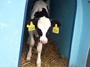 received_834755936594906