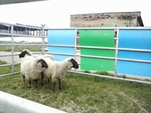 received_834756049928228