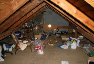 ViewImage (3)