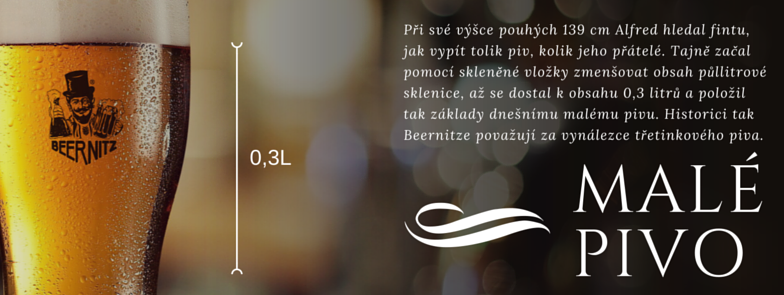 12805968_205350409822273_2204466067737574918_n (1)