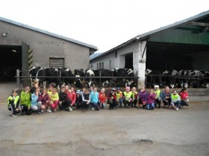 cH3-BTvfqX-CuSdod47yqCAJpydoELkCr4RIZRlXR56OkSgMr6gPxwZ1SH8SAVQLL41glxk