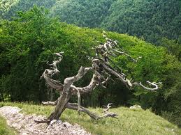 stažený soubor (1)